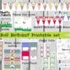 Bug Birthday Party printable set, Bugs, Bug party, Insects, Creepy crawlies, Insect birthday party, Bug birthday decor, Personalized