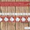 Aviator Printable Party Set, Vintage Airplane, Aviator Birthday, Airplane Birthday, Airplane party, 1st birthday - Image 9