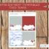 Aviator Printable Party Set, Vintage Airplane, Aviator Birthday, Airplane Birthday, Airplane party, 1st birthday - Image 11
