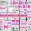 Girly Dinosaur Birthday printable set, Girly Dinosaur Birthday, Pink Dinosaurs, Girl Dino party, Girl Dinosaur printable decor