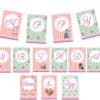 Vintage Kitty Party printable set, Vintage Kitty birthday, Kitty birthday, Vintage cat birthday, Vintage Kitty decorations - Image 4