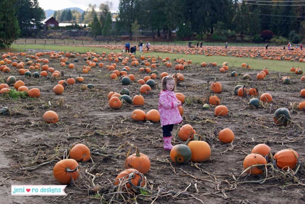Fall Family Field Trip ideas - Pumpkin patch