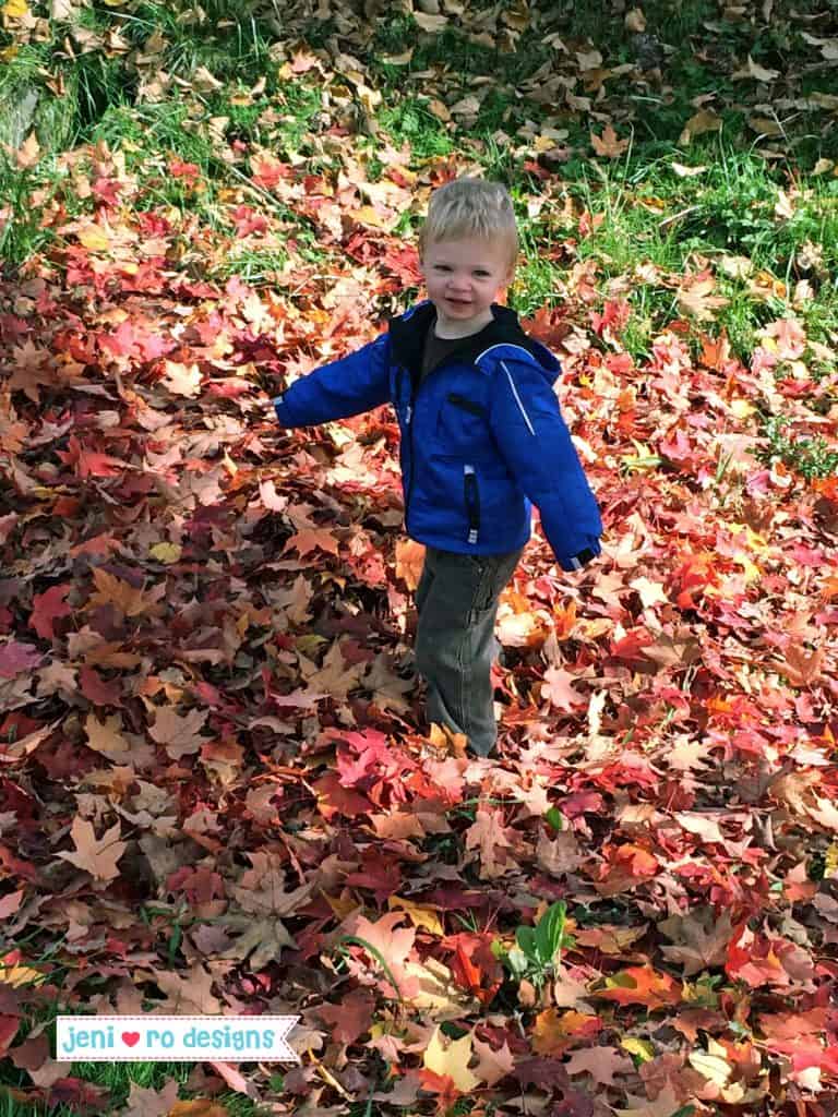 Fall Family Field Trip ideas - picnic playing in leaves