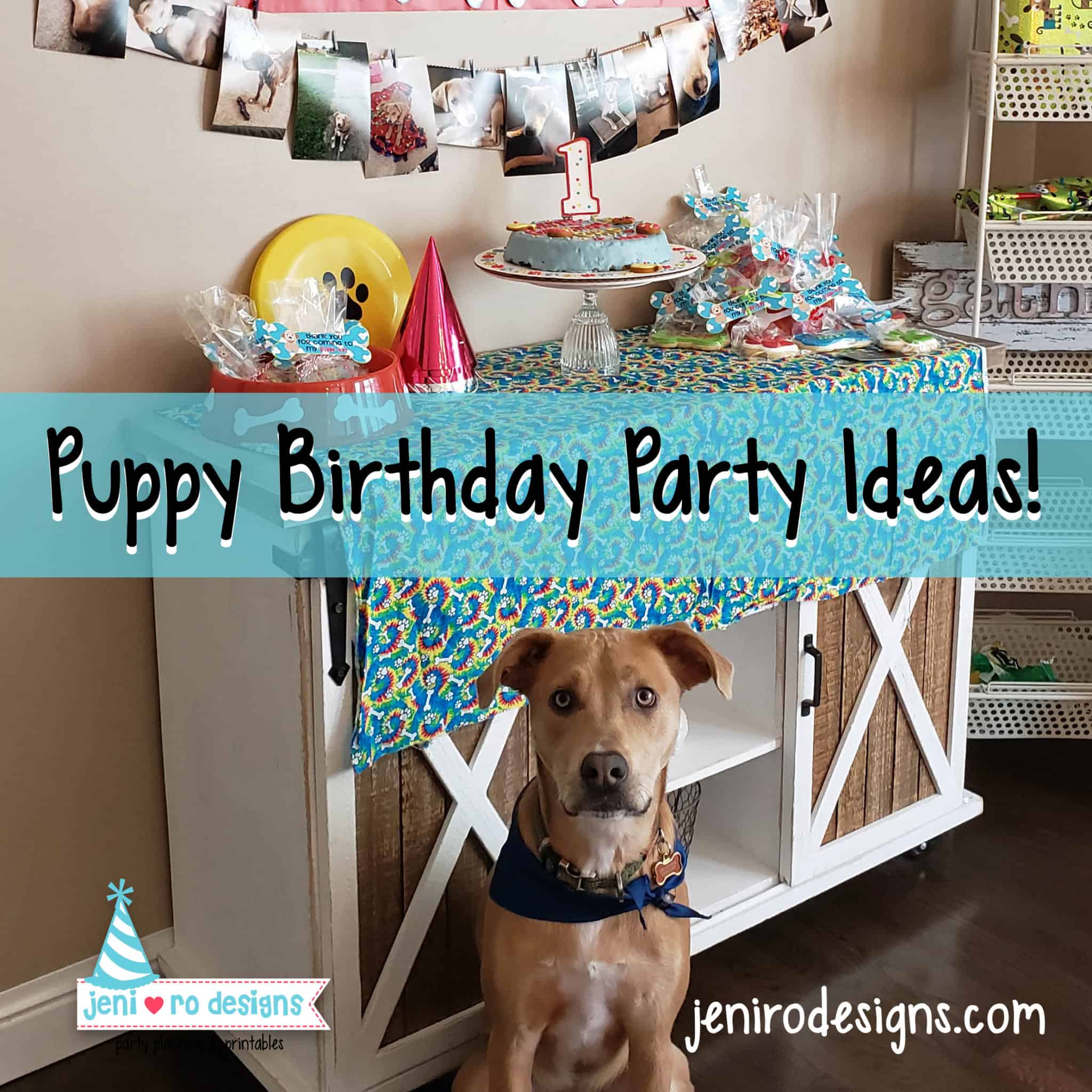 Puppy Birthday party ideas for a pup or human birthday!